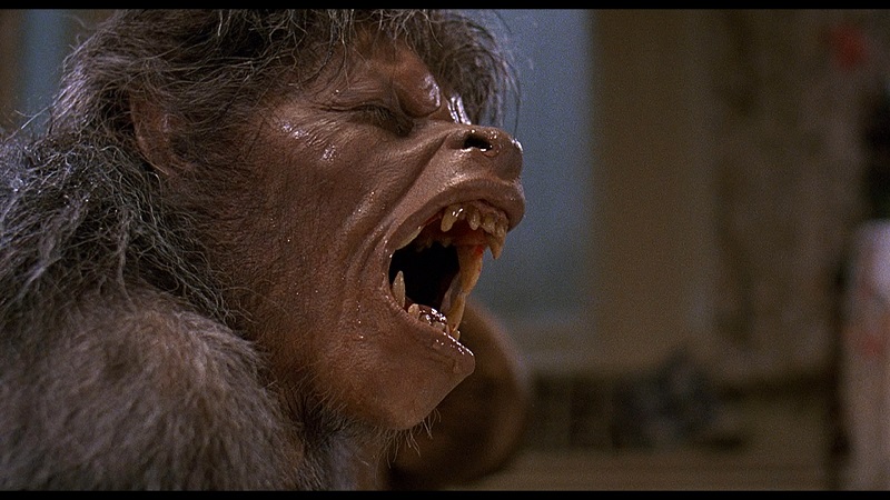 an-american-werewolf-in-london-wolf0