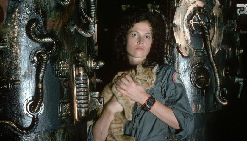 Ellen Ripley Cat
