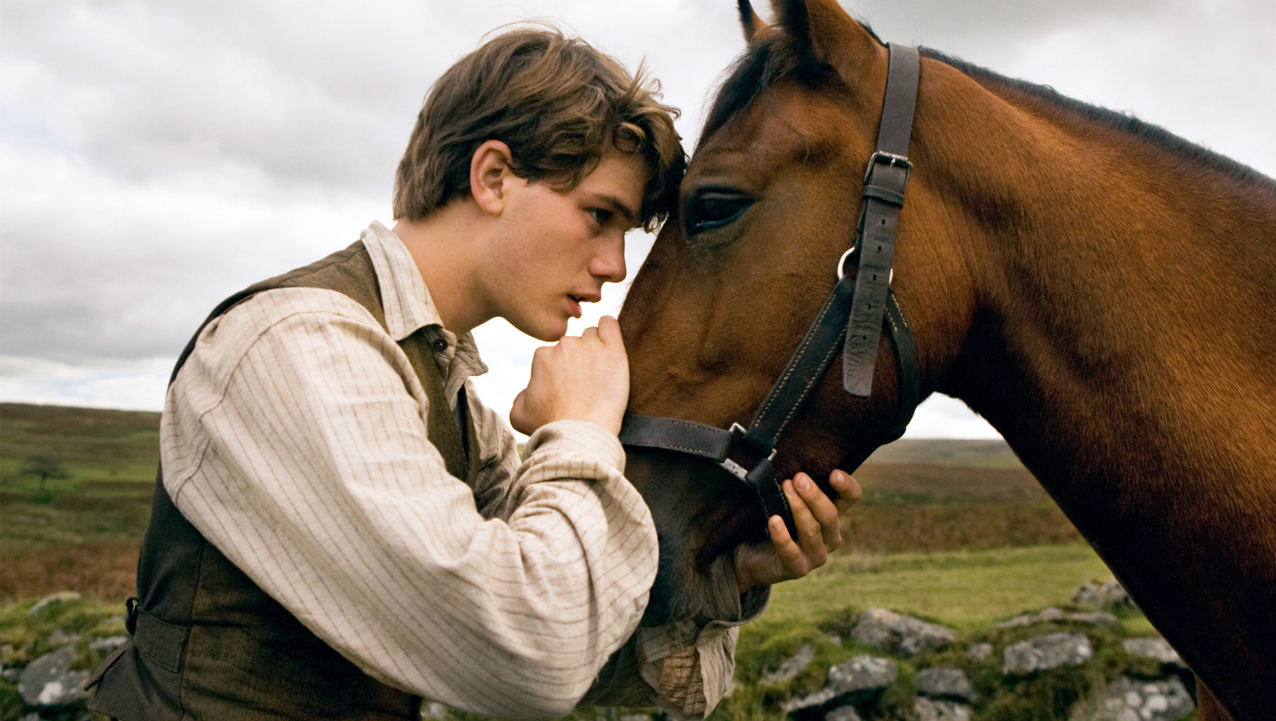 WAR HORSE