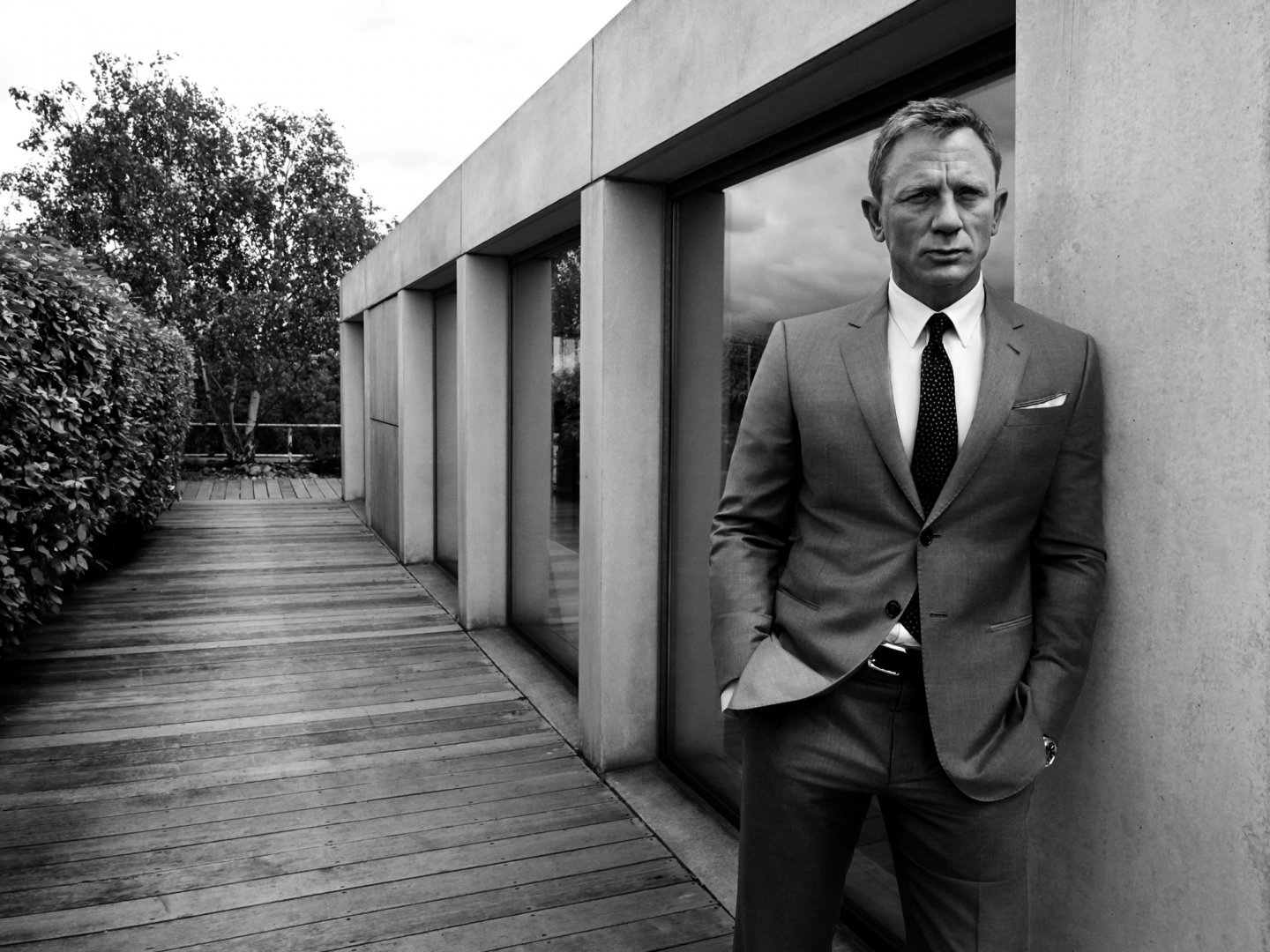 Daniel Craig