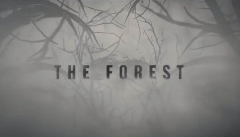filmorgpl forest zajawka