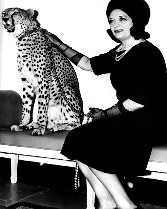 pola negri cheetah 1