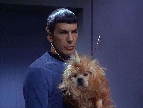 #171 – Mr. Spock