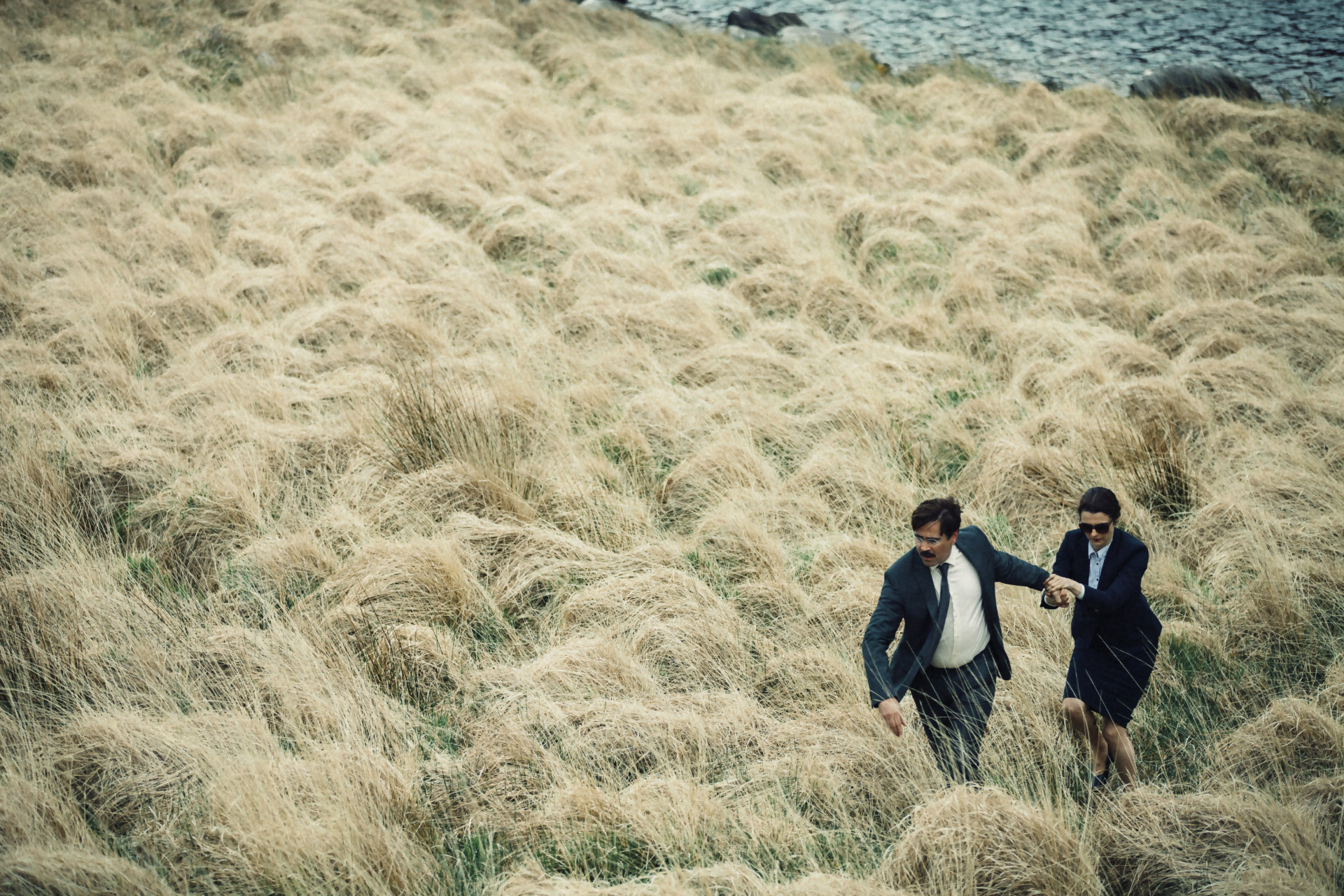 the lobster photo 552faff39e28a Under the Shadow 3
