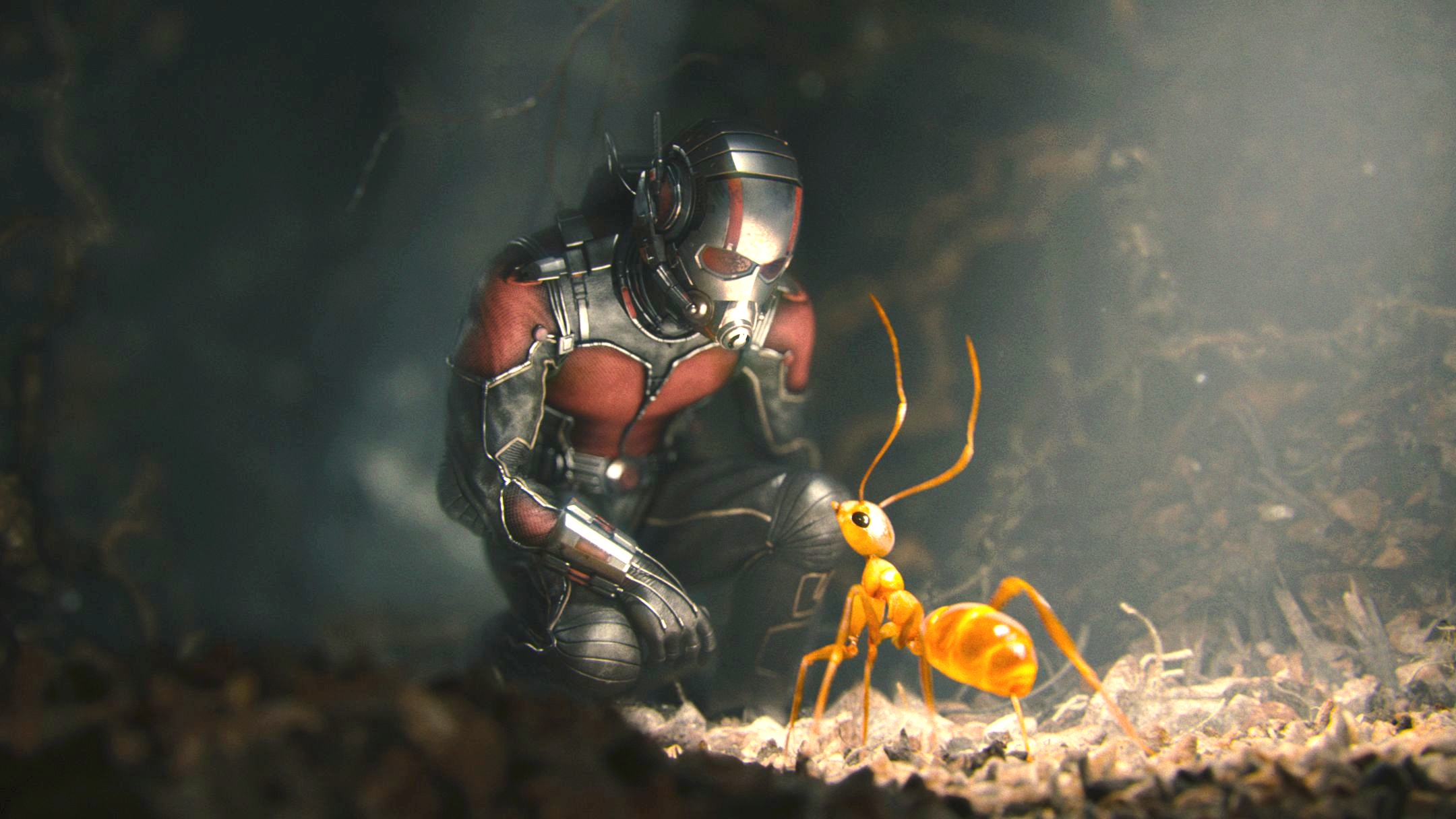 Ant-Man i mrówka