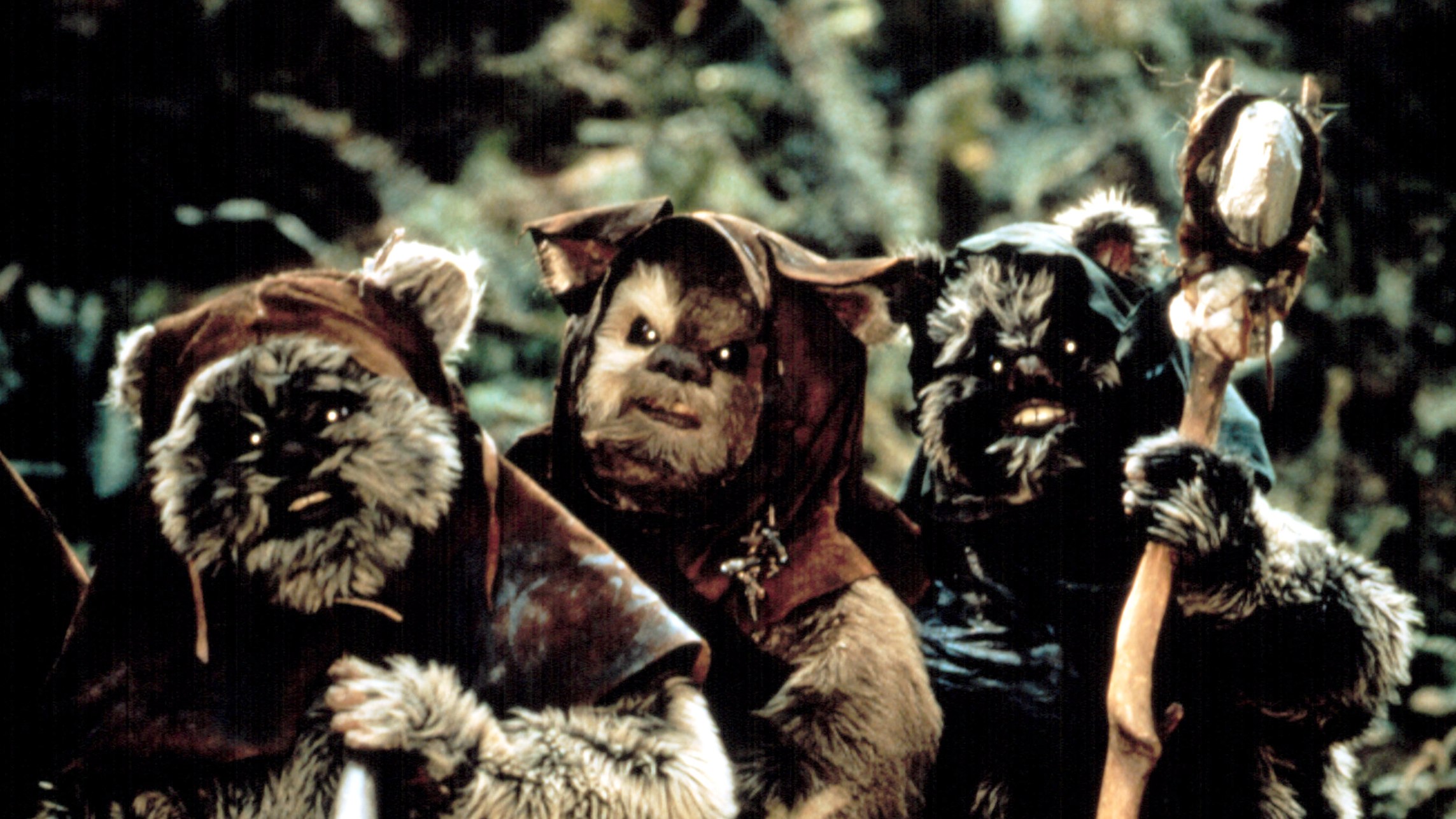 Ewoki Ze STAR WARS Mog y Wygl da Zupe nie Inaczej Pierwsze Szkice 