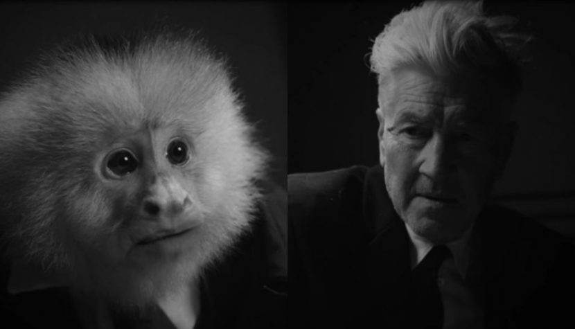 DAVID LYNCH przesłuchuje małpę w krótkometrażowym filmie na Netfliksie