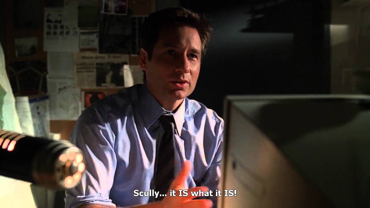 david duchovny as fox mulder scully it is what it is x-files