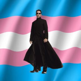transgender pride flag istock