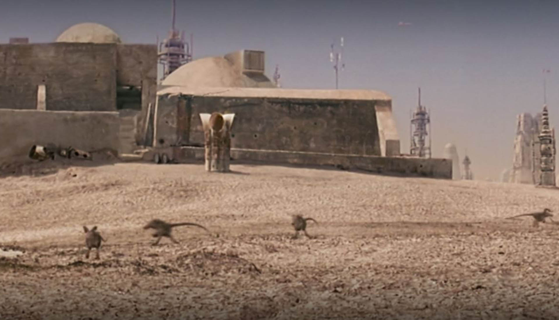 Scurriers on tatooine