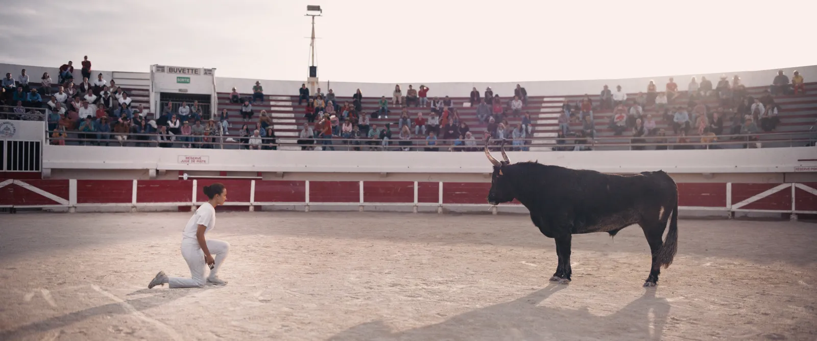 Kadr z filmu "Zwierzę" ("Animale", 2024), reż. Emma Benestan