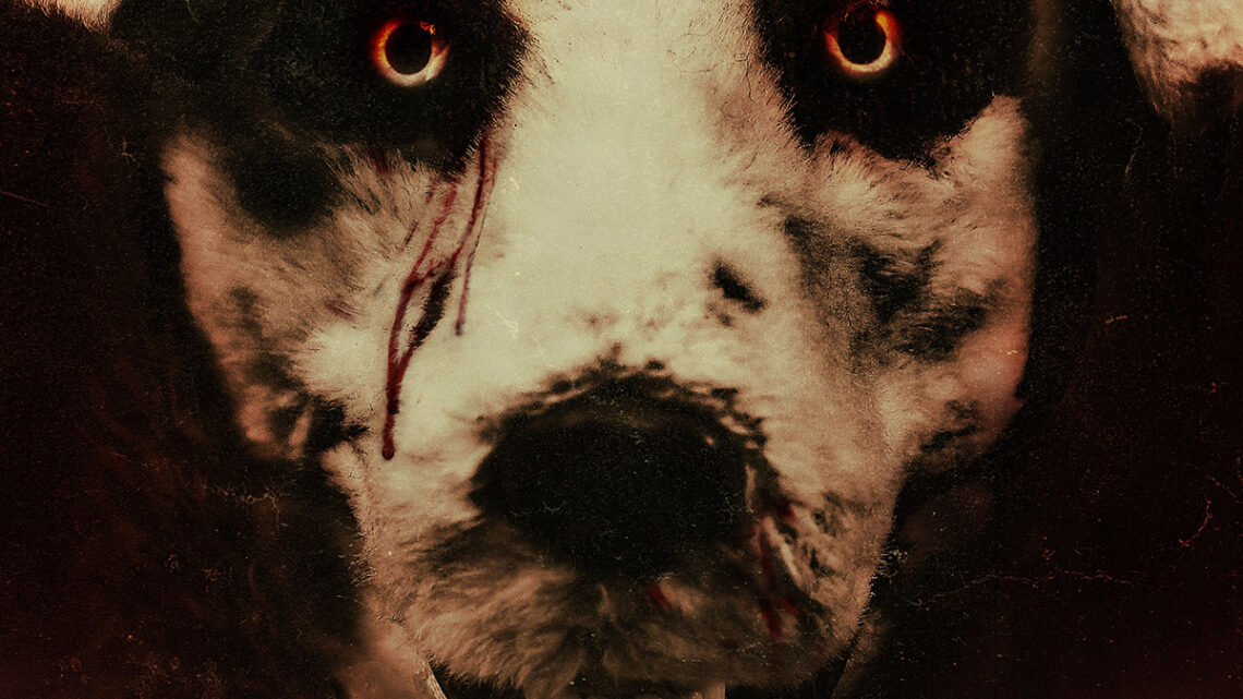 DOBRY PIESEK. Koszmar furrasa [RECENZJA]