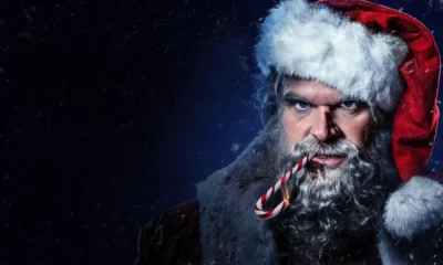 DZIKA NOC. Głupio, zabawnie i świeżo