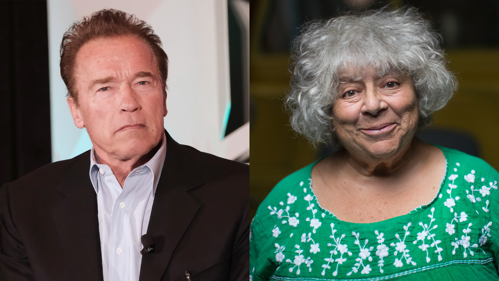 Miriam Margolyes negatywnie mówi o ARNOLDZIE SCHWARZENEGGERZE. 'Pierdnął mi w twarz"