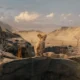 Pierwszy zwiastun filmu MUFASA: KRÓL LEW. Prequel trafi do kin w grudniu