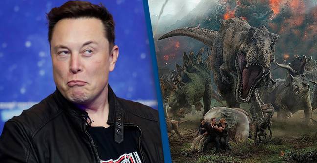 Prawdziwy PARK JURAJSKI. Elon Musk dysponuje technologią, dzięki której mógłby powstać
