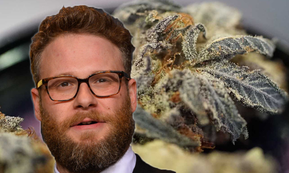 SETH ROGEN wprowadza własną markę wyrobów z marihuany | film.org.pl SETH ROGEN wprowadza własną markę wyrobów z marihuany