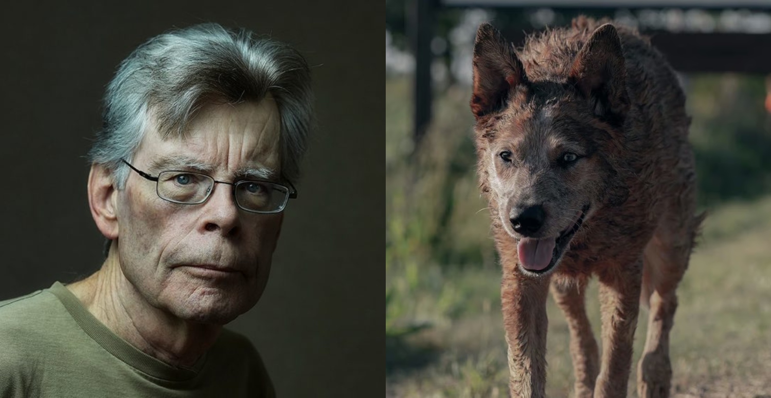 STEPHEN KING ocenił nadchodzący prequel horroru "Smętarz dla zwierzaków". Wyróżnił jednego aktora