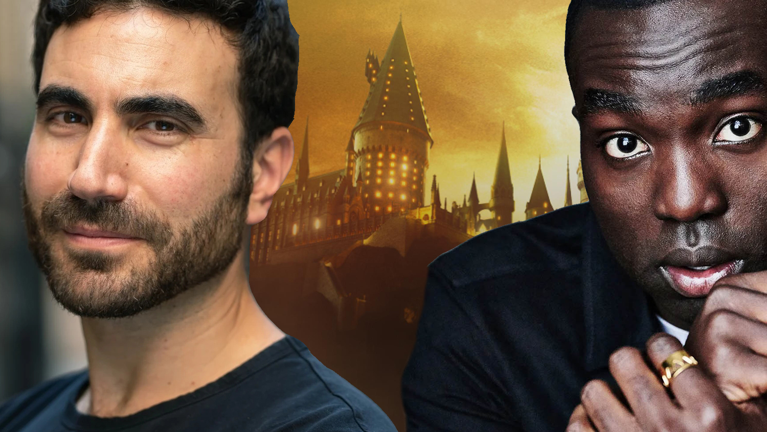 Serial HARRY POTTER jako niepotrzebna ofiara źle pojętej lewicowej ideologii?
