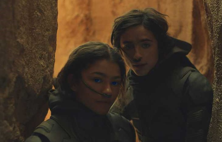 TIMOTHÉE CHALAMET był zachwycony występem ZENDAYI w DIUNIE. Aktor komentuje