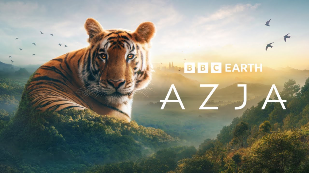Tajemnice AZJI. Rozmawiamy z MATTHEW WRIGHTEM, producentem nowego serialu BBC EARTH