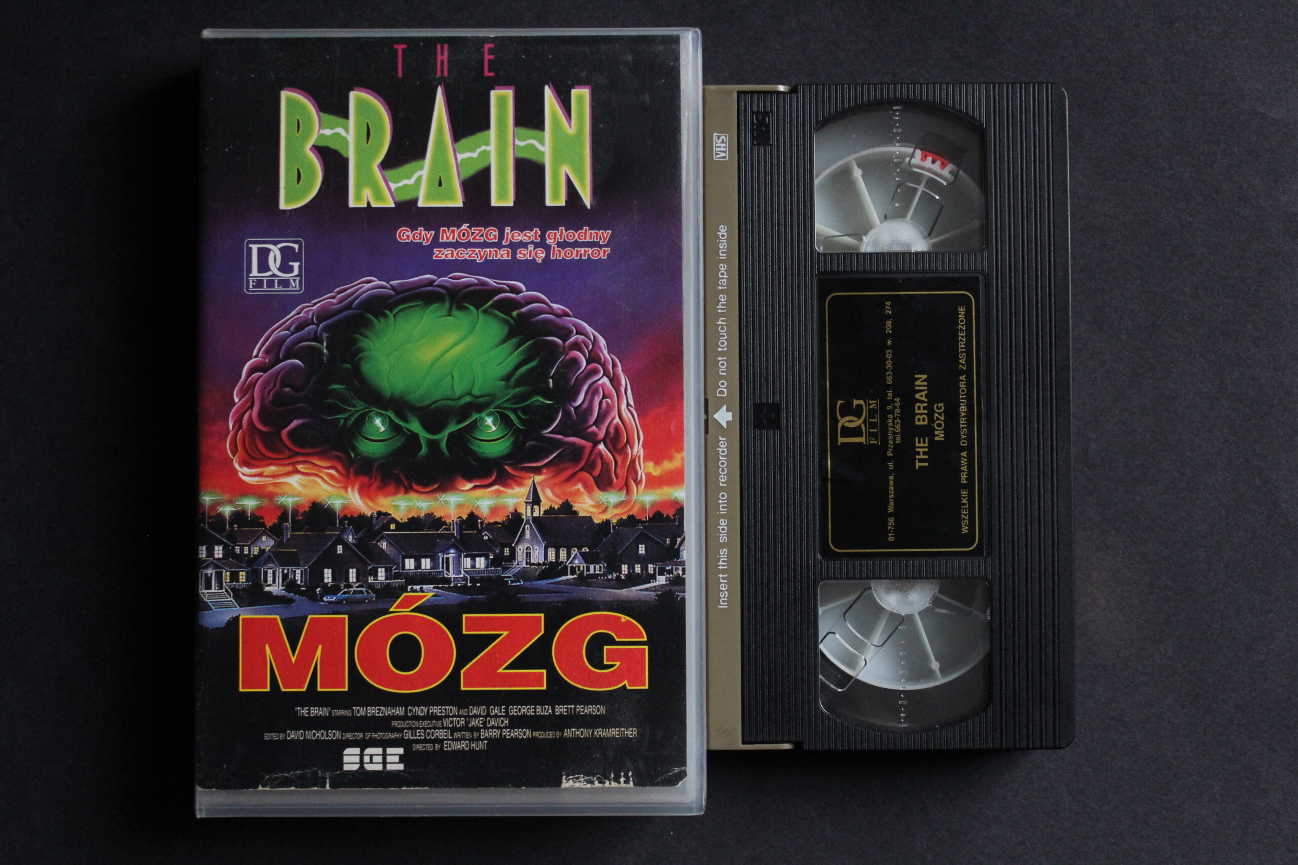 the brain Mózg