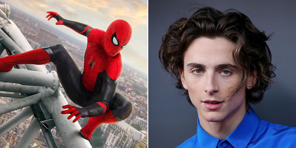 Tom Holland i Zendaya sugerują, kogo mógłby zagrać TIMOTHÉE CHALAMET w filmach o Spider-Manie