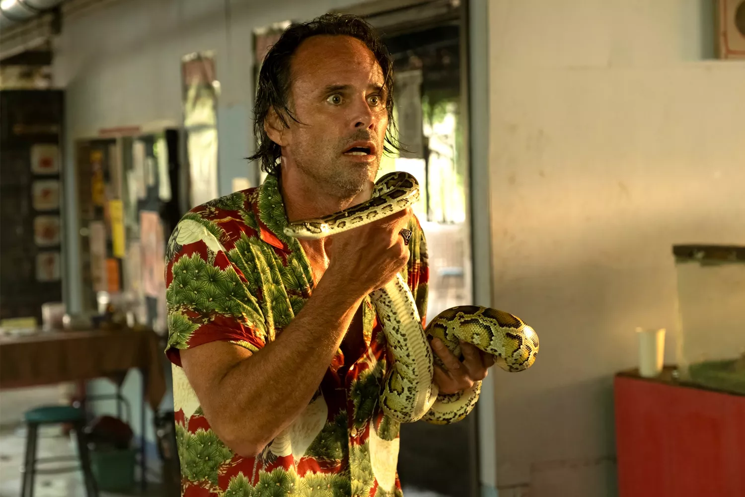 Walton Goggins został ugryziony przez węża na planie "Białego Lotosu". Udał się do szpitala