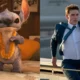 Zarobki filmu "Lilo & Stitch" przewyższyły oczekiwania. Jak radzi sobie nowe "Mission: Impossible"?