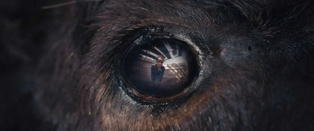 Kadr z filmu "Zwierzę" ("Animale", 2024), reż. Emma Benestan