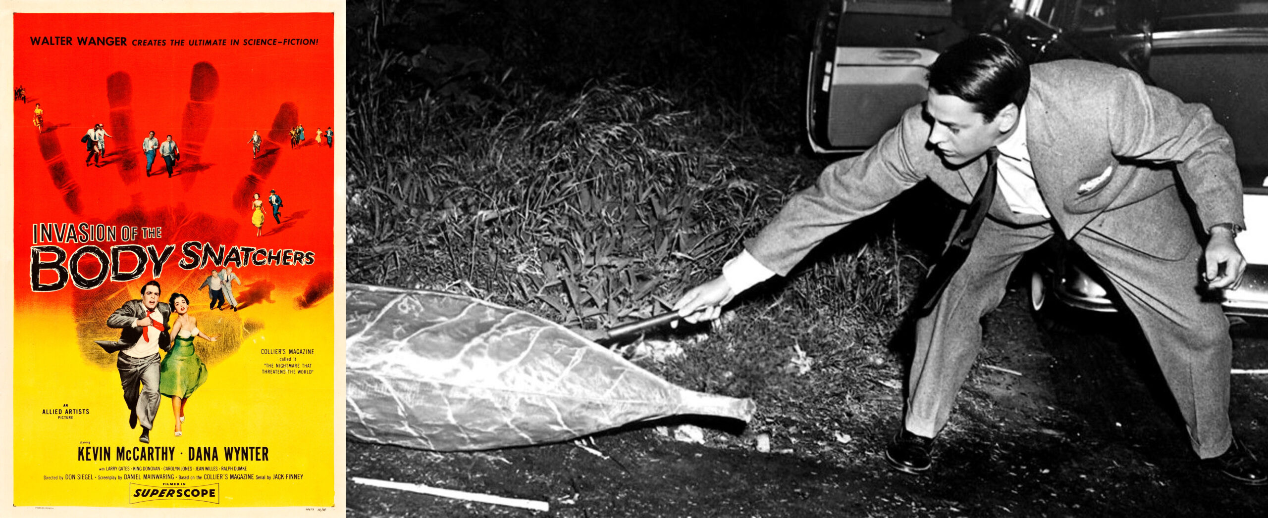 | film.org.pl