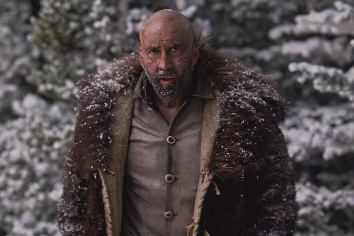 Nicolas Cage Butcher's Crossing