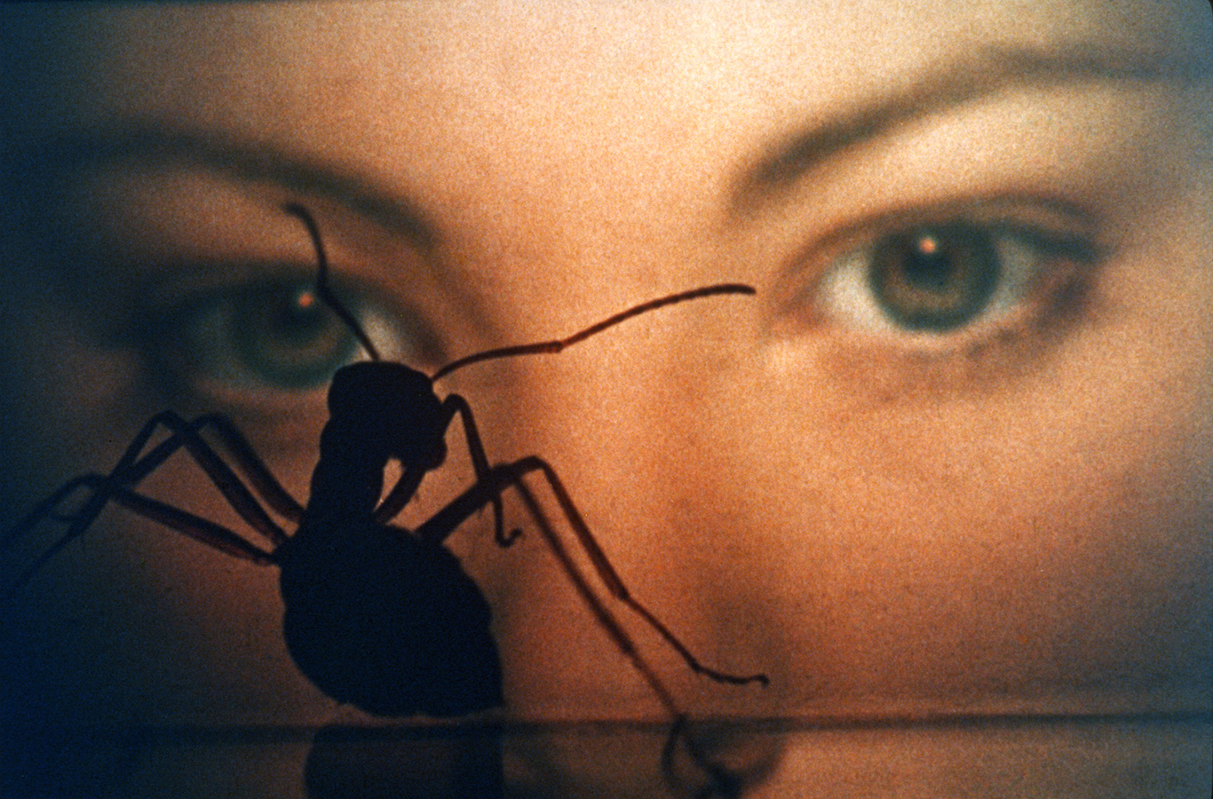 phase IV