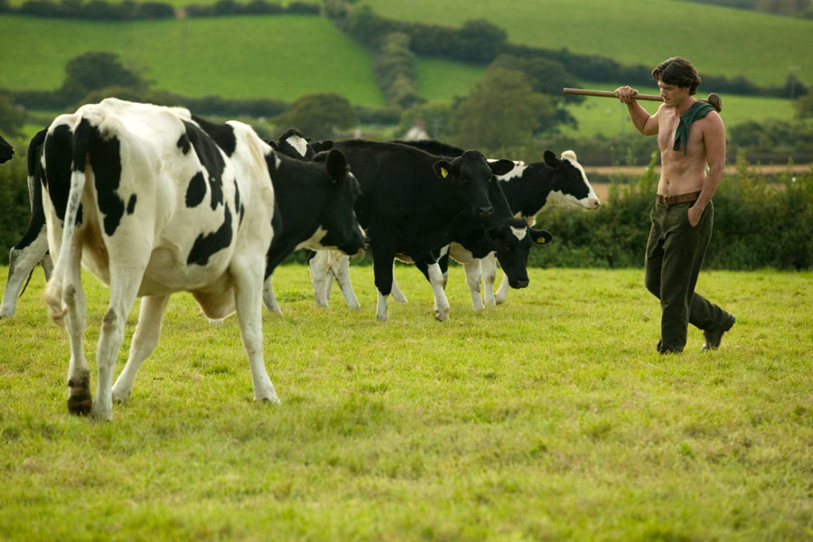 GWIEZDNE WOJNY: WOJNY KLONÓW (2008) | film.org.pl GWIEZDNE WOJNY: WOJNY KLONÓW (2008)