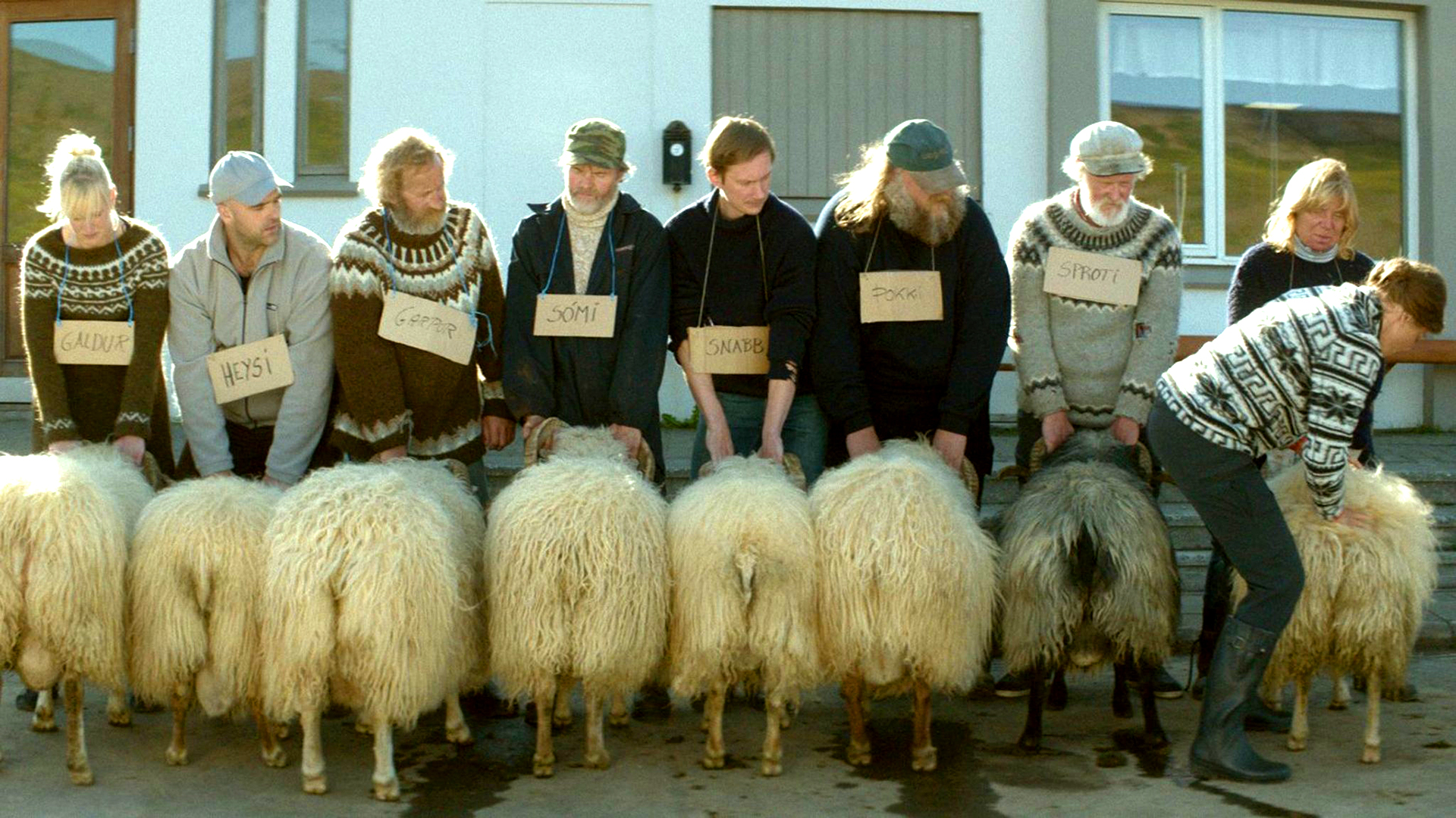 5 filmów islandzkich, które TRZEBA znać!