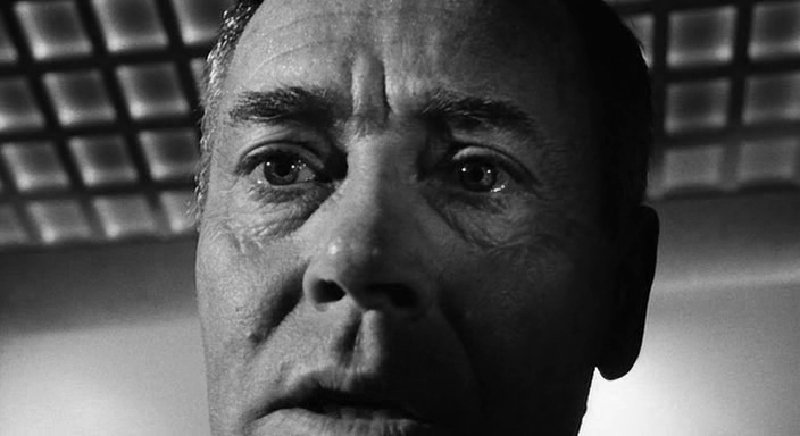 Żona BRUCE'A WILLISA prosi fotografów, aby dali spokój aktorowi. "Nie krzyczcie do niego yippee-ki-yay" | film.org.pl 70993928