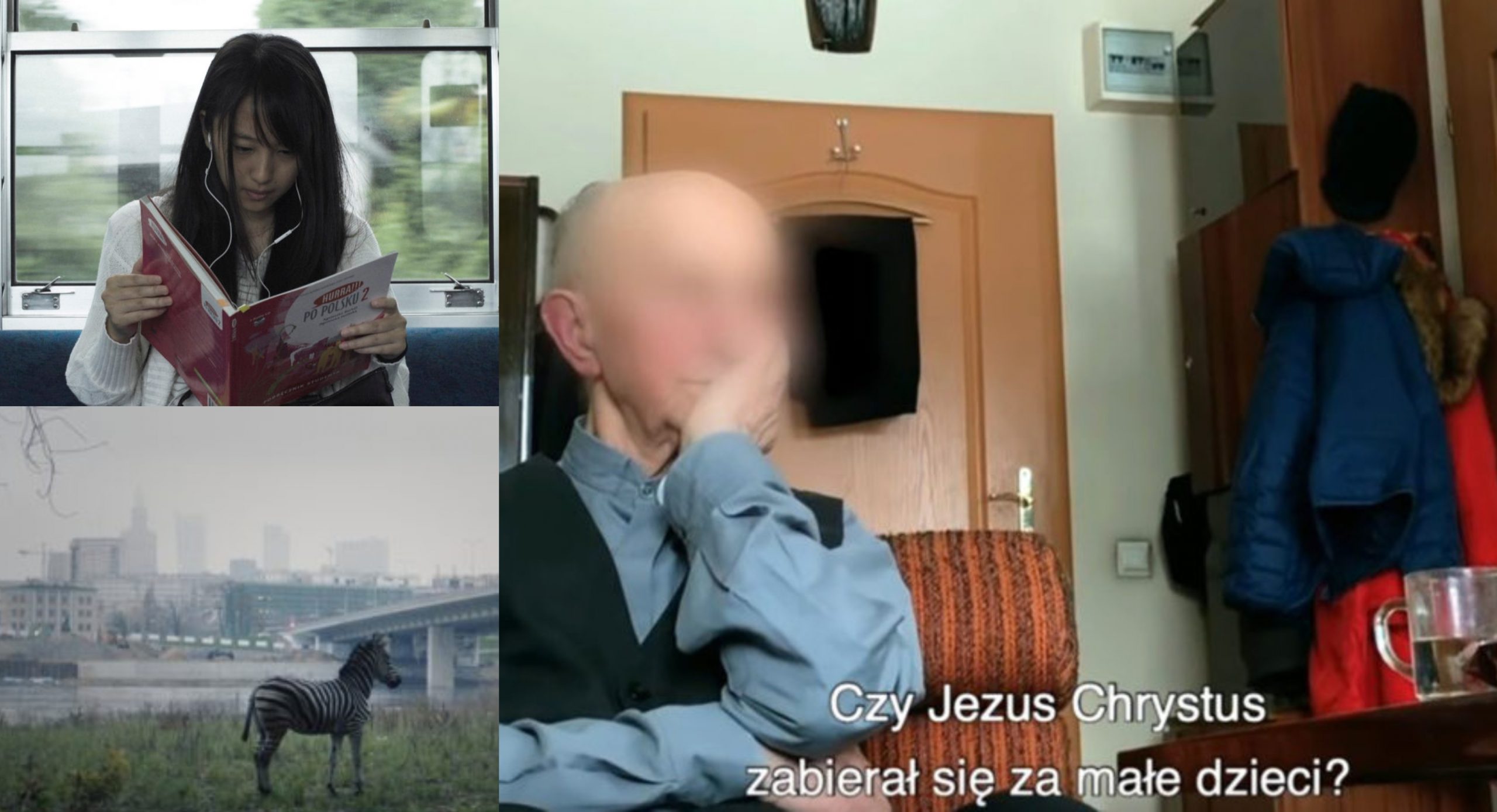 9 najciekawszych polskich FILMÓW DOKUMENTALNYCH z 2019 roku