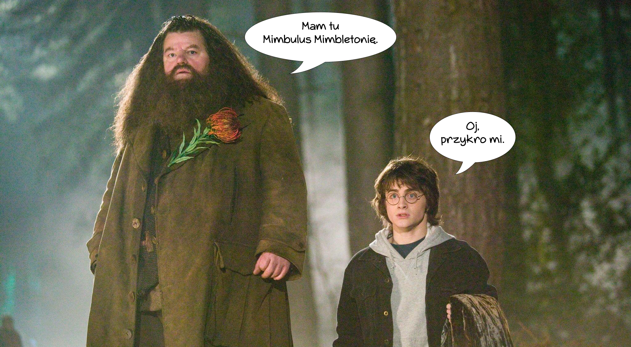 CHOROBA czy HARRY POTTER? Odgadnij!