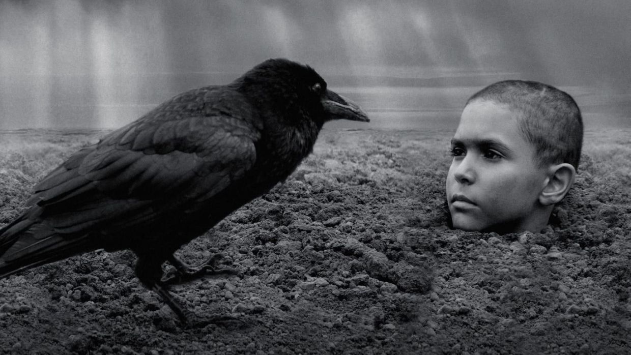 Dlaczego MALOWANY PTAK będzie NAJBARDZIEJ KONTROWERSYJNYM filmem roku