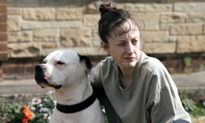 Dragonfly 1 | film.org.pl