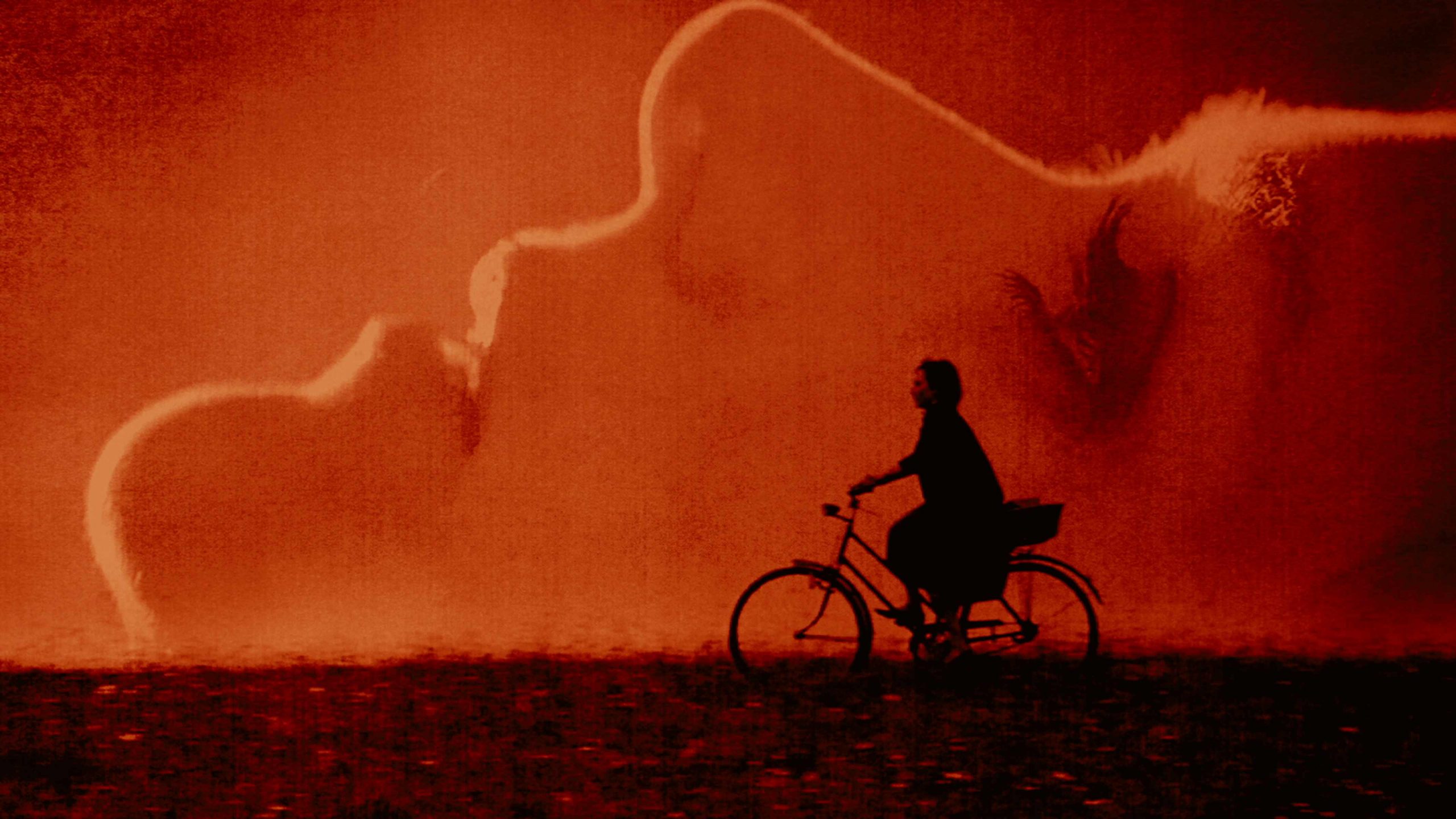 Duke of Burgundy. Reguły pożądania