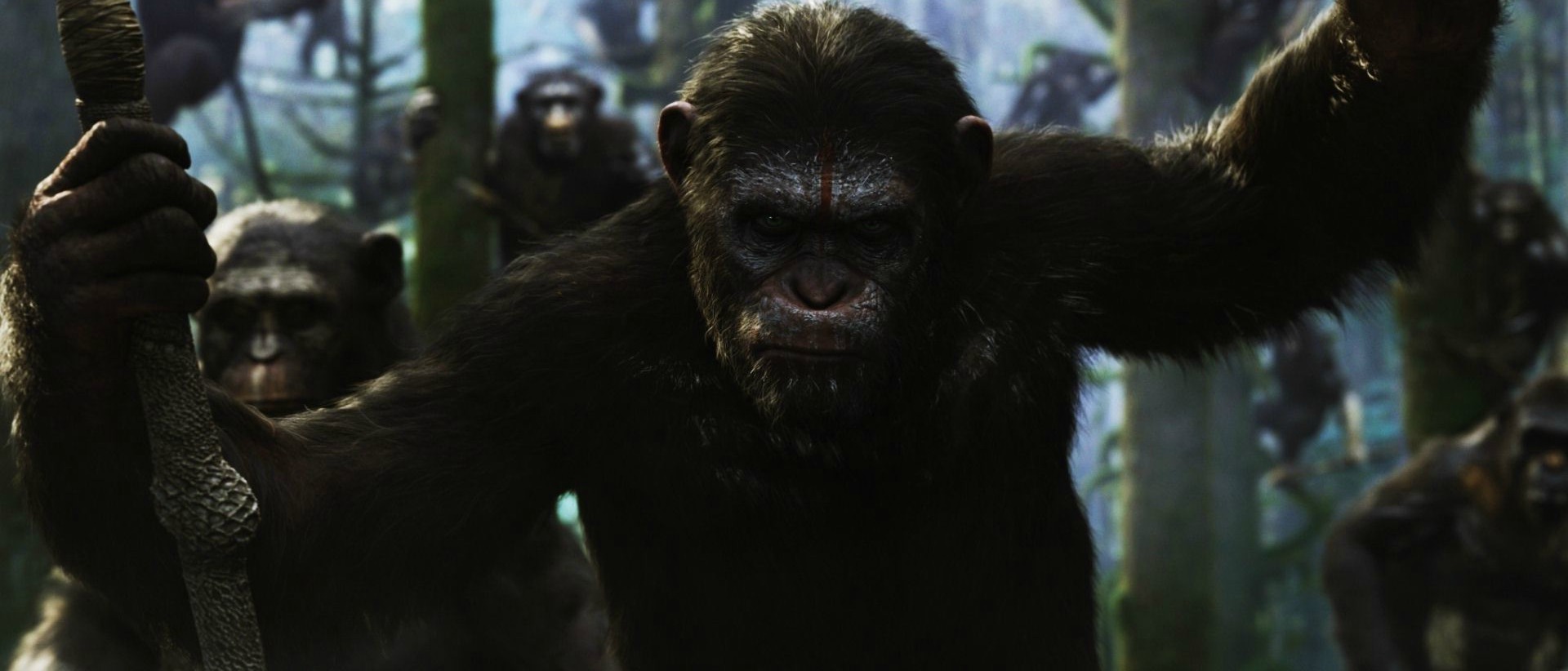 Ewolucja planety małp