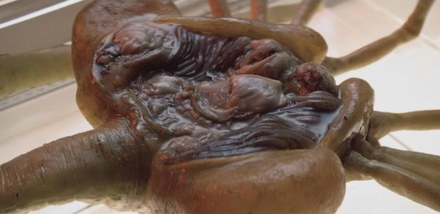 FACEHUGGER 2