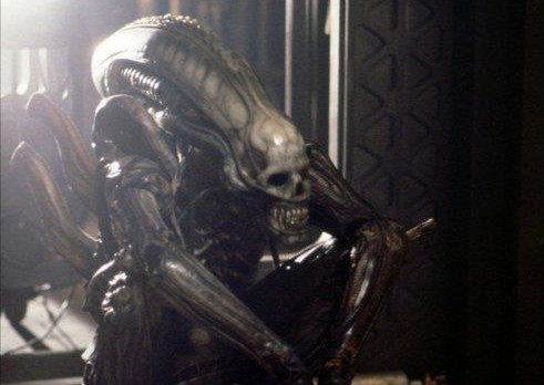 Fota #47 - Alien