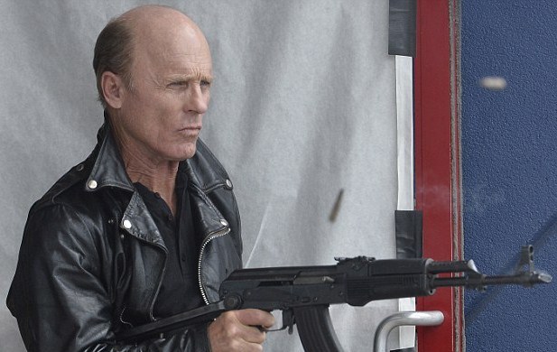 Fota #78 - Ed Harris