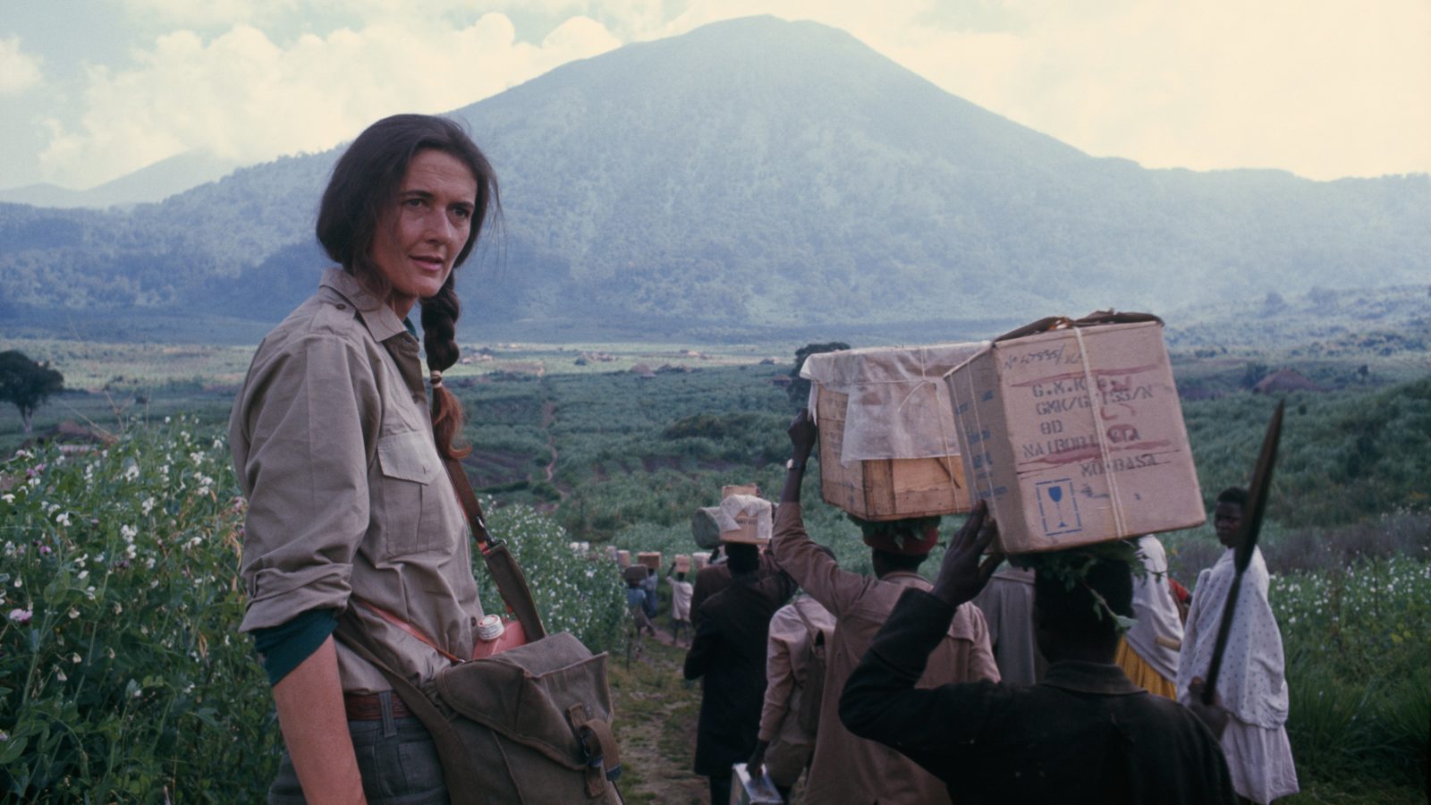 KTO ZABIŁ DIAN FOSSEY? Serial o kobiecie, która nie bała się King Konga