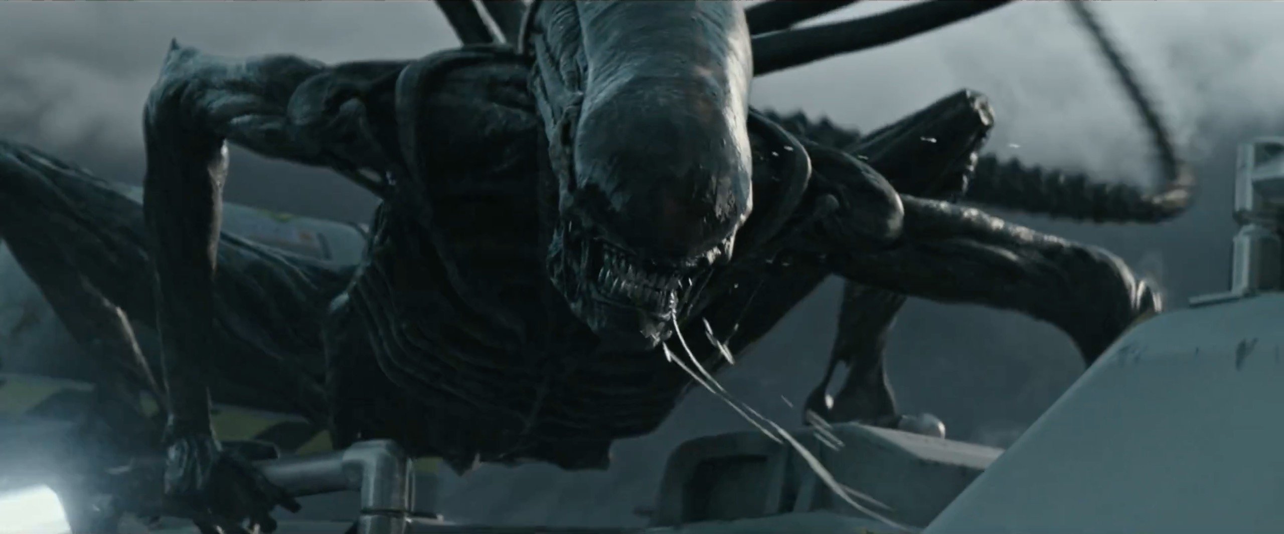 Ksenomorf jaki jest, (nie) każdy widzi. Różne wizerunki Obcego
