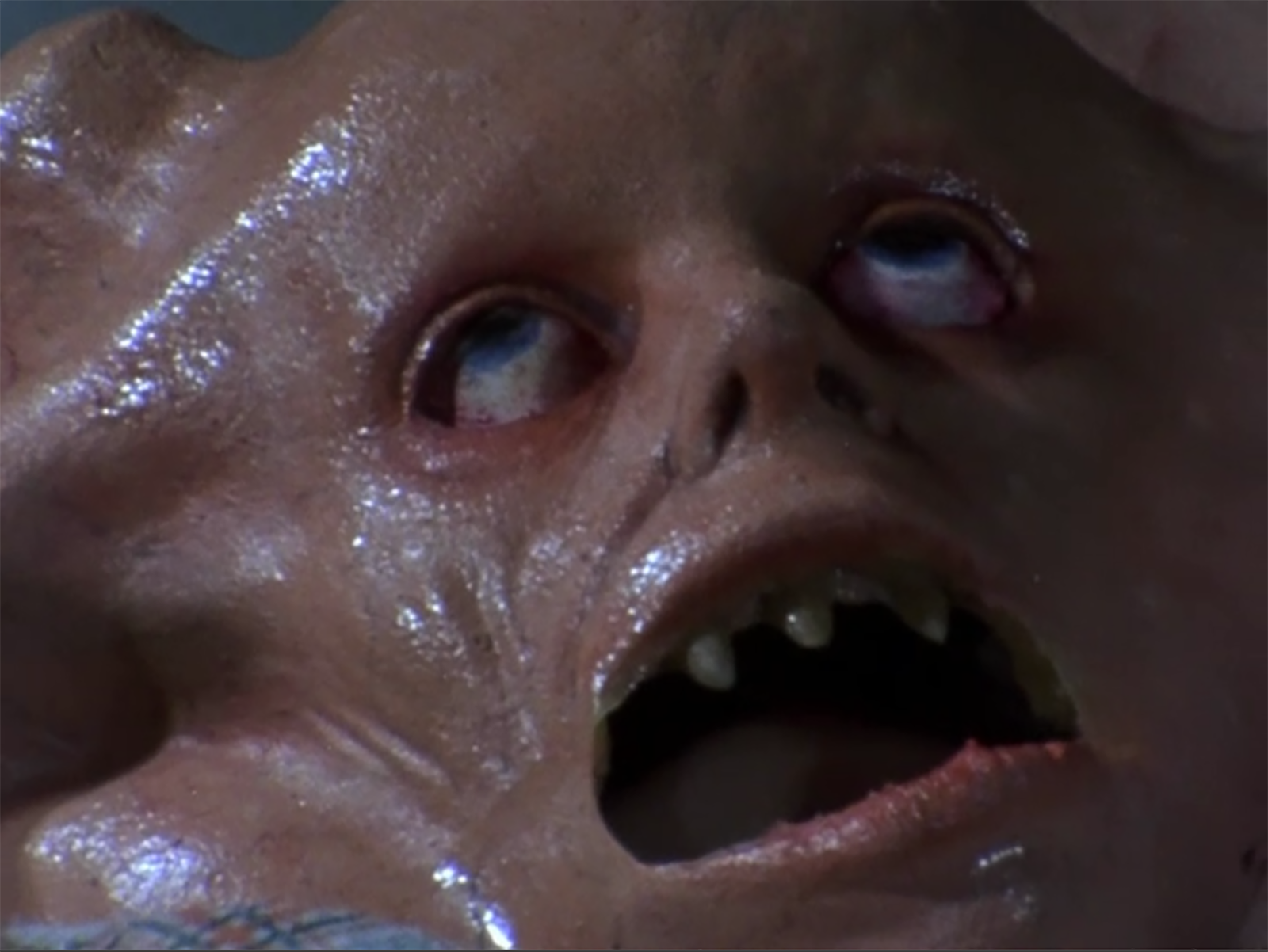 Nie tylko MARTWICA MÓZGU. Filmy spuszczone ze smyczy, czyli dzikie oblicze horroru