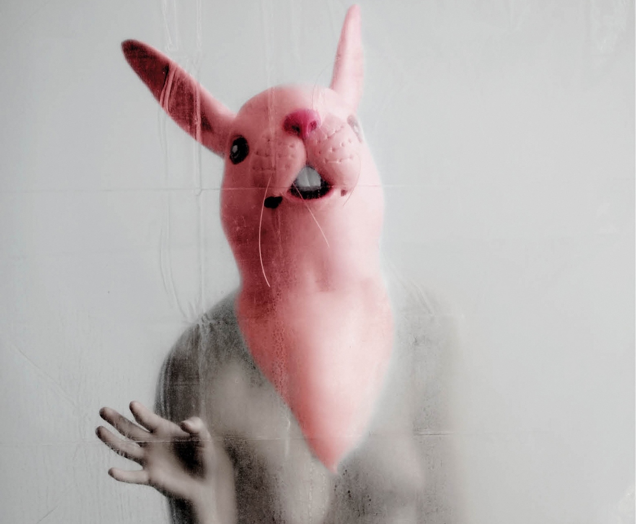 Seans urojony #3 – ROK KRÓLIKA