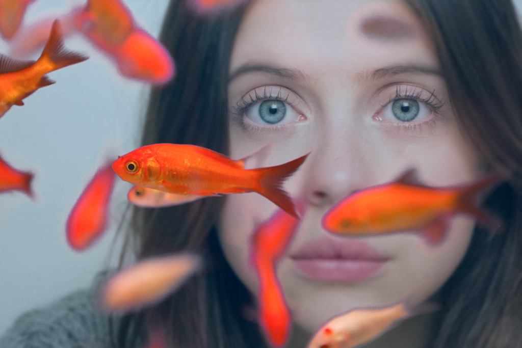 Sześć prac CARRIE PILBY